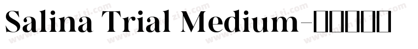 Salina Trial Medium字体转换